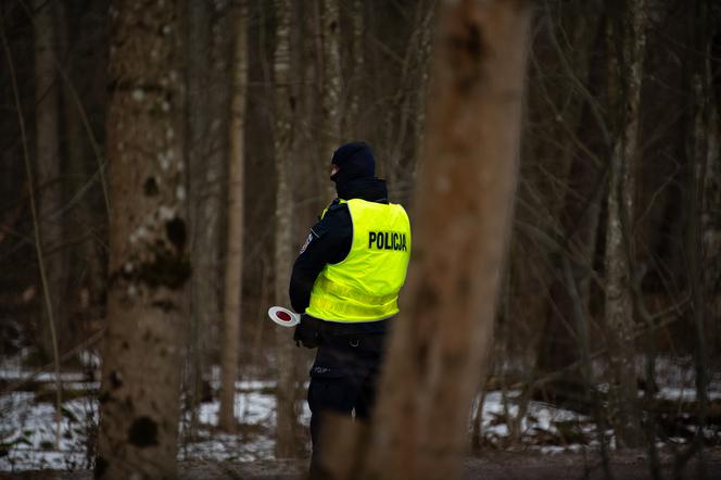 Policja: na terenie Puszczy Białowieskiej znaleziono zwłoki mężczyzny