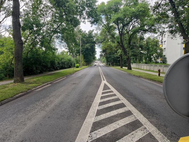 "Wyleciał mi przed maskę"
