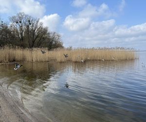 Kąpielisko i Jezioro Dąbie