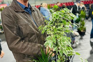 W Lesznie odbędzie się Festiwal Roślin 