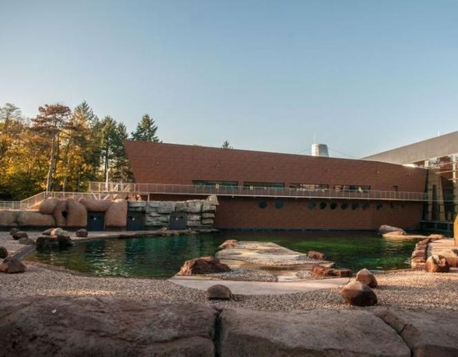 afrykarium wrocław