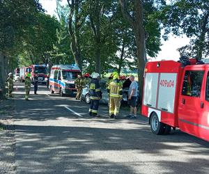 Samochód wbił się w drzewo niedaleko Strzelec Krajeńskich. Kierowca cudem przeżył!