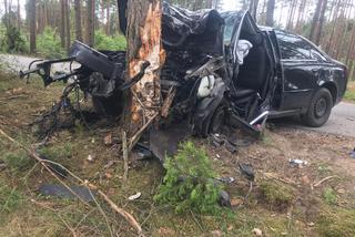 Koszmarny wypadek pod Kościerzyną! 30-latek huknął w drzewo i zginął na miejscu