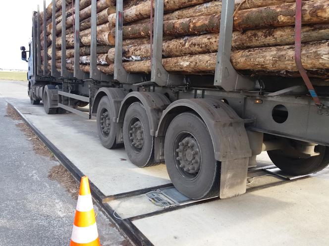 Niesprawne i przeładowane transporty drewna zatrzymane przez ITD. Rekordzista ważył 57 ton!