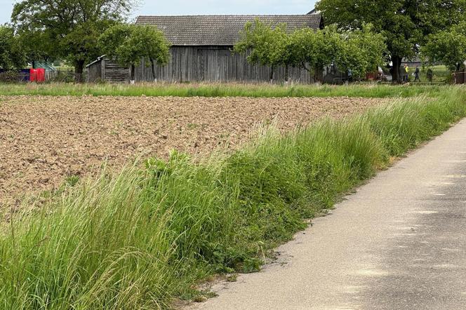 Makabryczne odkrycie w Woli Szczucińskiej. Ciała dwóch dziewczynek w pogorzelisku