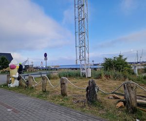 Przejechałam się jedną z najpiękniejszych tras rowerowych w Polsce. Widoki robią wrażenie!