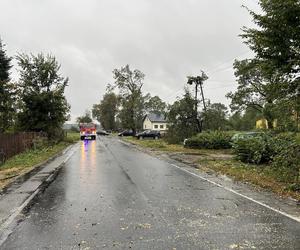 Trąba powietrzna w Łódzkiem. Zniszczenia w gminie Poświętne