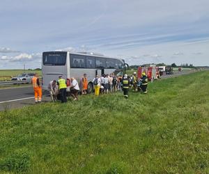 Niepełnosprawne dzieci spod Świecia utknęły na autostradzie A1 w drodze nad morze. Kierowca wysadził je na poboczu