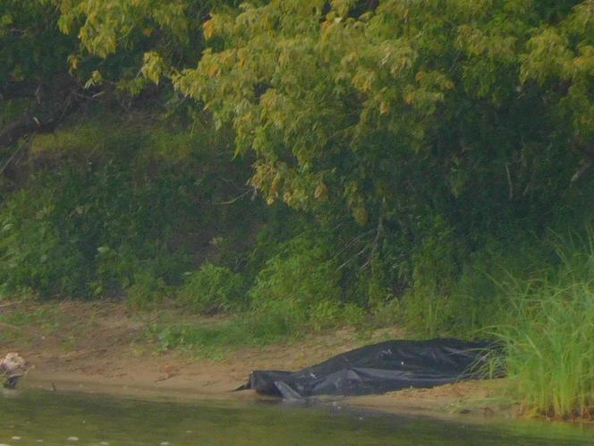 Tragiczne zdarzenie w Nowym Dworze Mazowieckim. Młody chłopak chciał przepłynąć Narew wpław