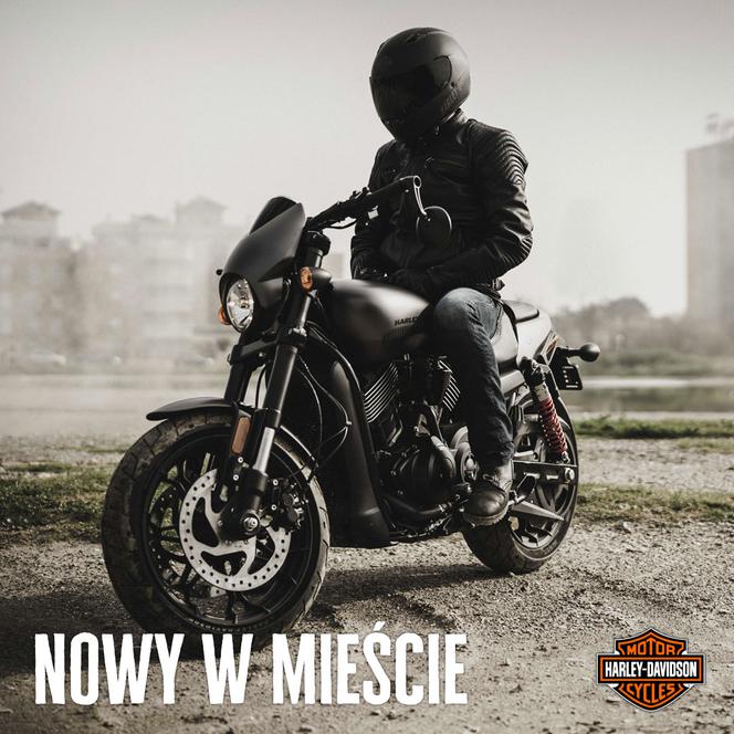 Harley Davidson Street Rod