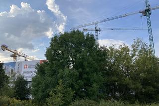 Siekierki i Augustówka