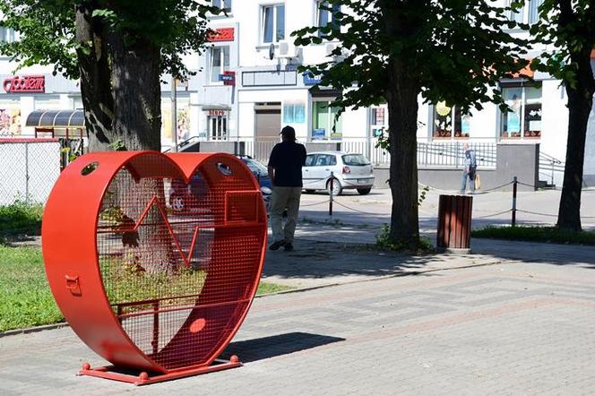 Wielkie serce w centrum miasta ma pomóc potrzebującym i środowisku [ZDJĘCIA]