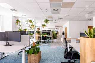 Biuro Arup w Krakowie