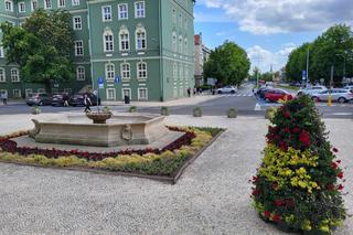 Kwiatowe kompozycje ozdobiły Szczecin