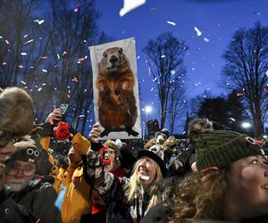 Świstak przepowiedział sześć tygodni zimy