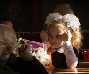 Najlepsze szkoły podstawowe w woj. śląskim
