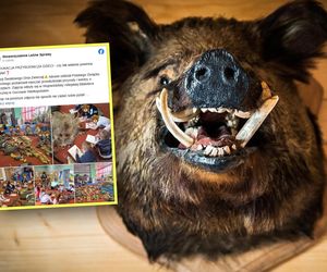 Skandal w przedszkolu! Dzieciom pokazywano skóry martwych zwierząt