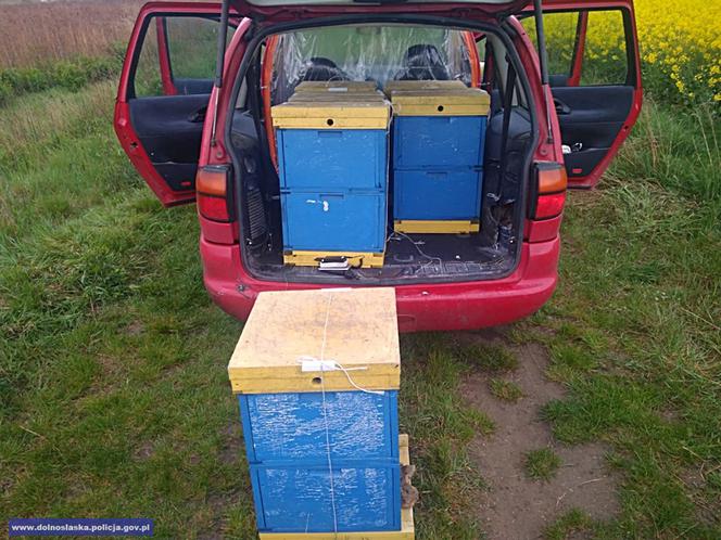 Kradzione ule z pszczołami wpakował do minivana