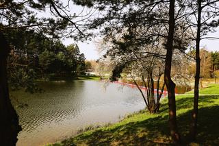 Piękny zalew Andrzejówka pod Kielcami zaprasza letników