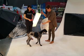 Międzynarodowa Wystawa Psów Rasowych w Bydgoszczy