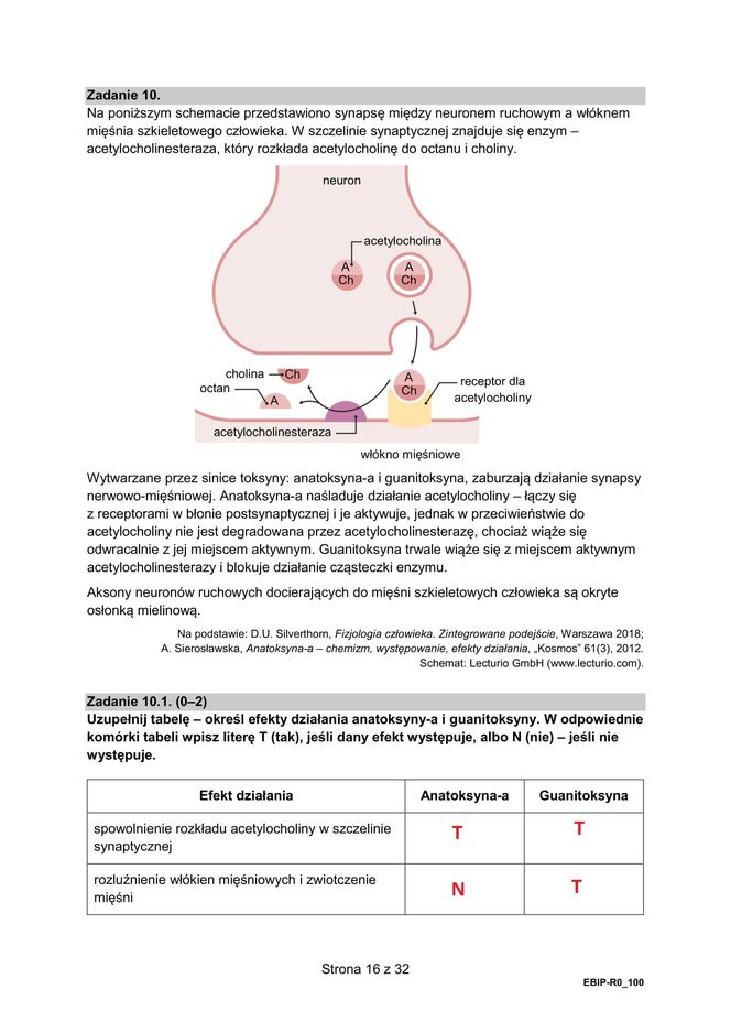 Matura 2025 biologia rozszerzona: ODPOWIEDZI do wszystkich zadań, gotowe rozwiązania matury z biologii rozszerzonej - Formuła 2015 [9.05.2025]	