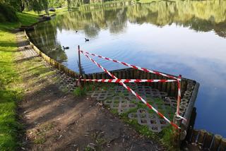 Bakterie w stawach parku Moczydło. Władze dzielnicy ostrzegają