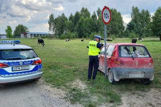 Przejażdżka rowerem skończyła się kradzieżą auta. 11-latek odpowie przed sądem