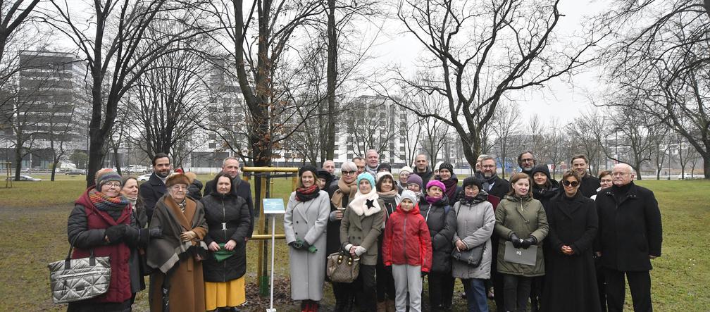 Powstańcy zapuścili korzenie. 20 drzew dla bohaterów w parku na Woli