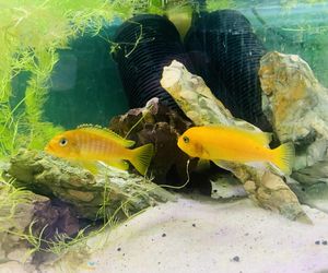 Rozmawiamy z Tomaszem Wiśniewskim, założycielem Aqua Dreams Bydgoszcz