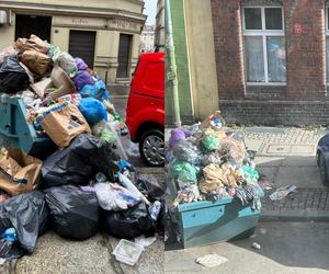 Raj dla szczurów w centrum Wrocławia. Z pięknej ulicy zrobili śmierdzące wysypisko śmieci 