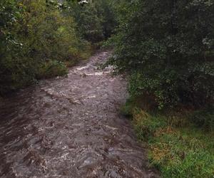 Alarm na Dolnym Śląsku. Zbliża się ogromna ulewa, w Kłodzku apelują o robienie zapasów wody. Relacja live