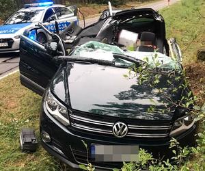 Drzewo spadło na volkswagena. Turysta z Krakowa utknął w aucie