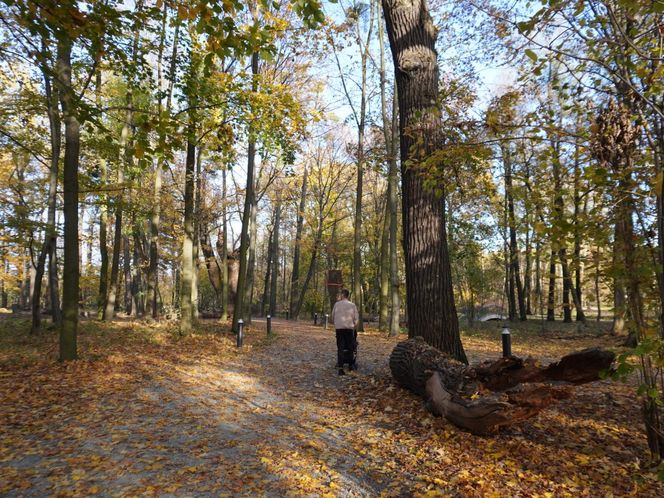 Pałac w Baranowicach jesienią