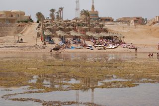 Piękna posłanka pojechała na wakacje z bliskim współpracownikiem Andrzeja Leppera! Pikantne zdjęcia!