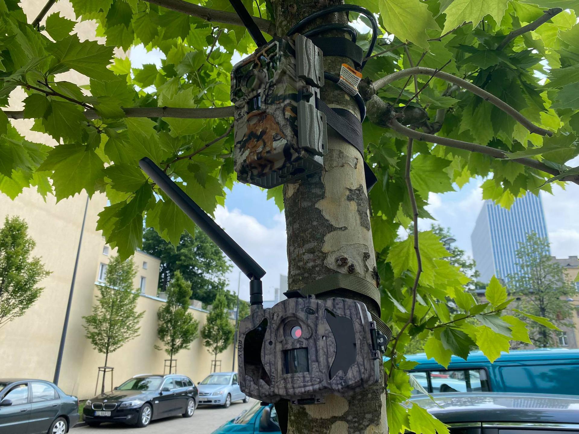 Fotopułapki Łódź