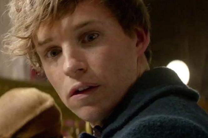 Fantastyczne Zwierzęta – pierwszy zwiastun zachwyca! Świat magii powraca w Fantastic Beasts