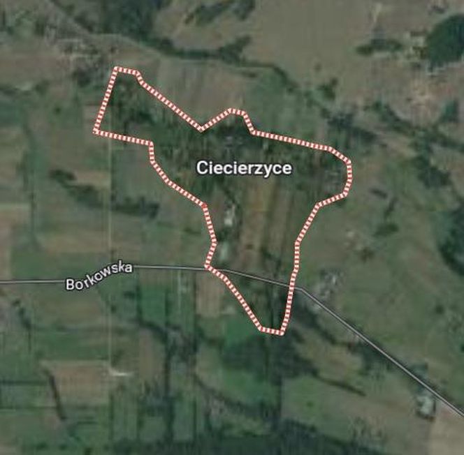 Ciecierzyce