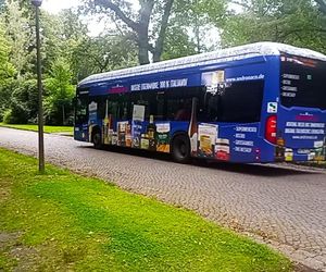 Ohlsdorfer Friedhof w Hamburgu