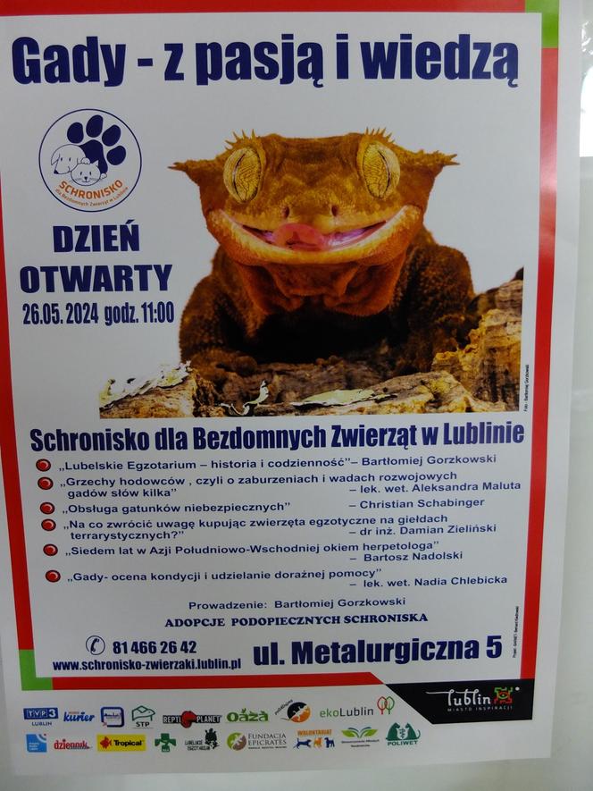 Dzień otwarty w Schronisku dla Bezdomnych Zwierząt w Lublinie [ZDJĘCIA, WIDEO]