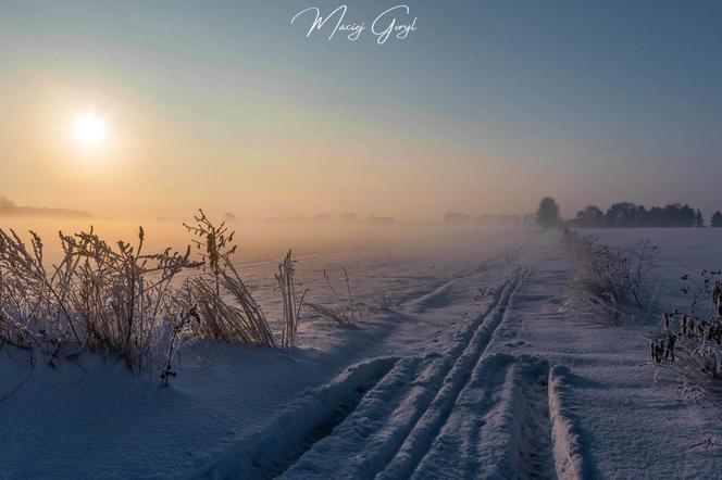 Zdjęcia Śląska Macieja Goryla 