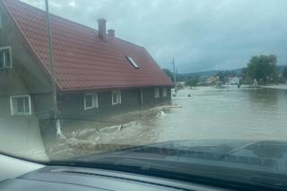 Ile powódź będzie kosztować PZU?  Są szacunki