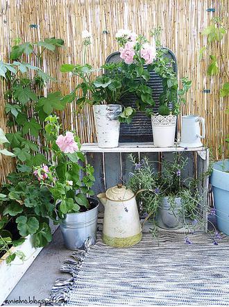 Balkon wschodni w bloku zdjecie nr 1