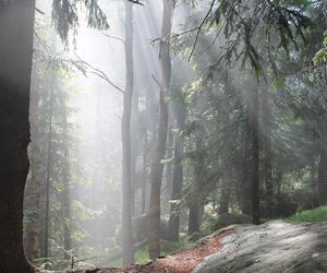 Błędne Skały to polska wersja Bryce Canyon. Są zaledwie kilka godzin od Wrocławia