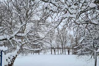 Podkarpacie przykryte śniegiem, jedni się cieszą inni denerwują