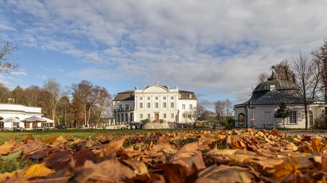 Pałac Popielów w Kurozwękach