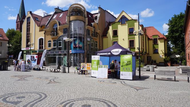 Święto Muzyki 2025. Olsztyn zamienił się w radosne miasto muzyki!