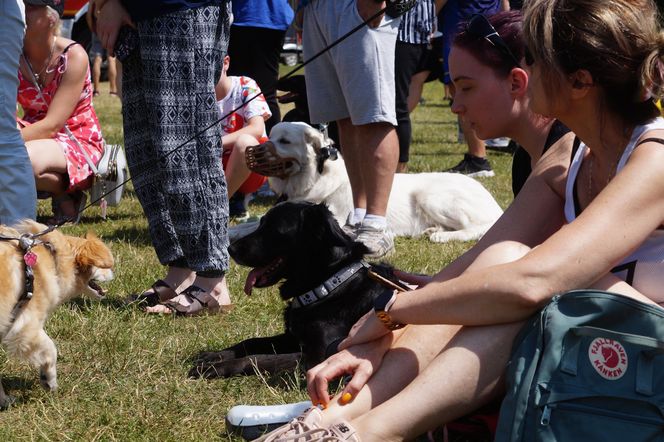 Psia radość i ludzkie serca. Myślęcinek pełen dobrych ludzi i ich czworonogów