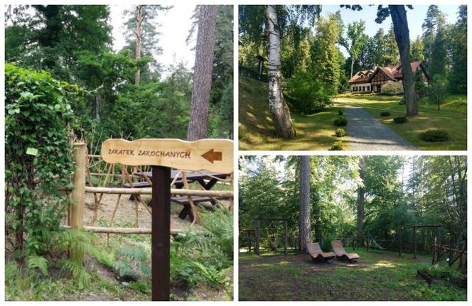 Leśne Arboretum w Kudypach. Jedno z piękniejszych miejsc na Warmii [ZDJĘCIA]