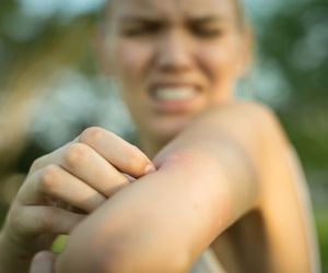 Ultradźwięki na komary - czy działają?