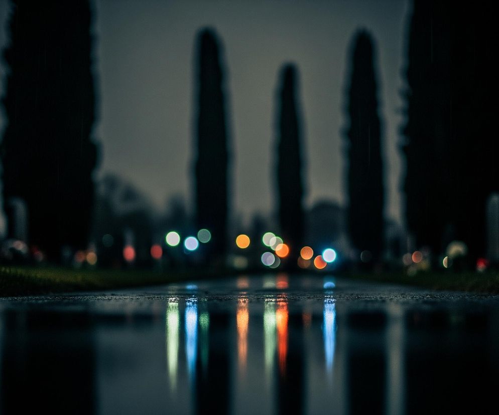 Mokry, ciemny chodnik rozciąga się w głąb obrazu, zajmując większą część dolnej połowy kadru, z wyraźnym odbiciem w jego powierzchni. Na horyzoncie widoczne są rozmyte, pionowe, ciemne sylwetki drzew lub pomników, a także liczne, kolorowe światła bokeh w odcieniach pomarańczowego, zielonego i niebieskiego, które również odbijają się w kałużach na chodniku. Po obu stronach chodnika rozpościera się ciemnozielona trawa, jej szczegóły są najbardziej widoczne w lewym dolnym rogu. Całe otoczenie jest skąpane w mroku, co nadaje scenie melancholijny charakter, z kilkoma jasnymi punktami w tle, kontrastującymi z ogólną ciemnością.